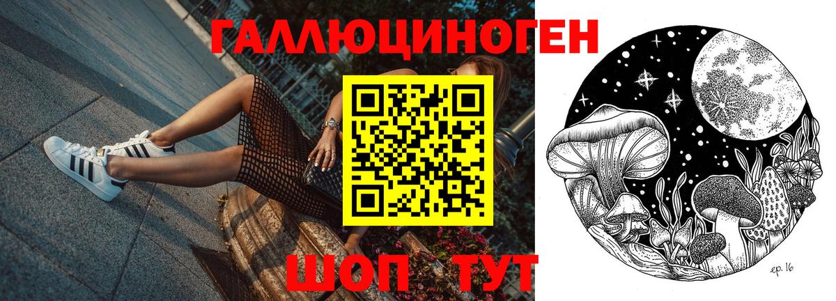 Нефтеюганск  купить закладку  Вход с VPN  Псилоцибиновые грибы Cubensis 
